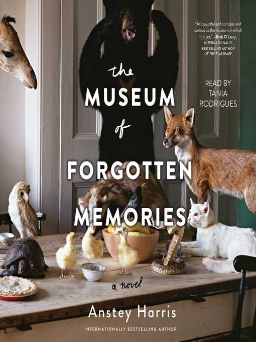 Cover image for The Museum of Forgotten Memories